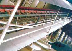 BLT type scalper conveyor